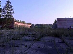 Kurvig MILF viser stor rumpe under kort skjørt mens hun stripper ute