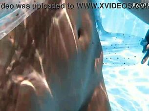 Ivi Reins uska pička i dupe sijaju pod vodom u bazenu