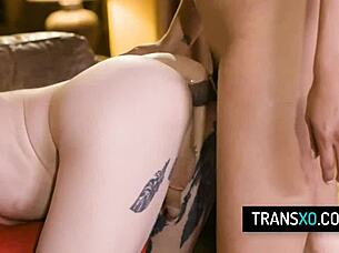 Hot shemales Jessica Fox and Lena Moon tease each other