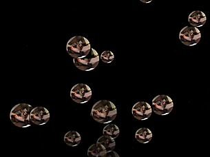 Zafiro and Aidan in an Interracial Gay Preview