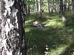 Watch the voyeur spy on pregnant milf masturbating outdoors in the meadow!