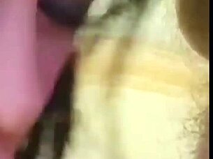 Me tragué su verga gruesa por todos mis hoyos y mi culo terminó lleno de semen