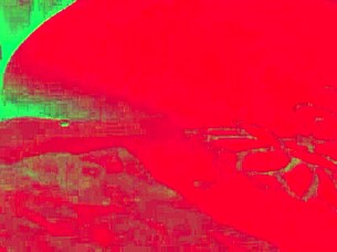 Caroleta Roots Twerks With Panties In Ass And Cums!