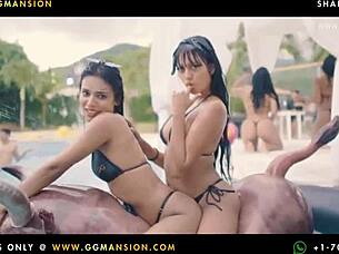 latina brunettes explore each other's hot bodies passionately