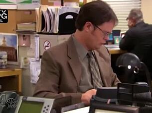 i work in the office every day