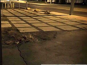 Too rough for that earth milf bondage session