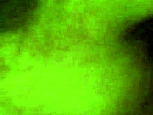 Savage Blowjob With Intense Sucking And Deep Throating