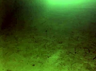 gay guy explores new experiences