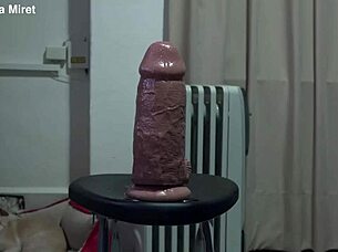 teen transsexual inserting big dildo in ass for hardcore play