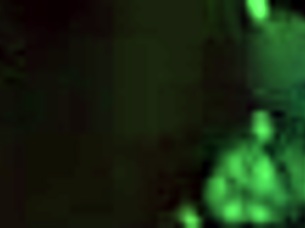 My Tuesday Jumpoff with That Ebony Beauty