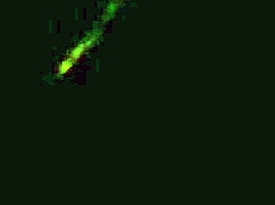 Is this blonde whore ready for the couple's big cock blowjob session?