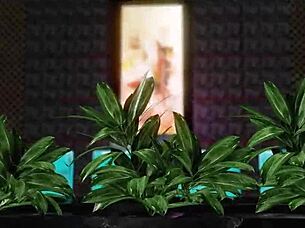 Return To Lewd Big Tits And Monster Cock