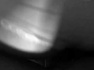 Slutty Roxy Sucks Two Dildos While Getting Fucked Doggy Style.