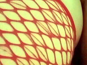 i'm having sex on the grass without limits, with big cocks and asses everywhere