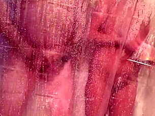 Mandeezy4u2 Brunette Wife Masturbates Tits In Shower Bathing