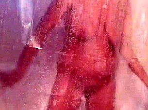 Mandeezy4u2 Brunette Wife Masturbates Tits In Shower Bathing