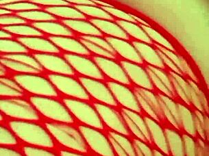 i'm having sex on the grass without limits, with big cocks and asses everywhere