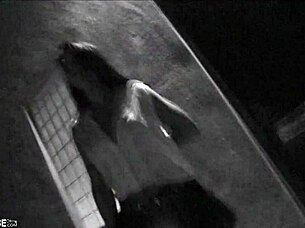 Busty blonde bree olson sucks cock and gets pussy slammed