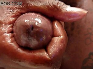 hallelujah johnson jerks off solo with sex toy in casual black hairy session