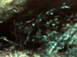 i had hardcore sex in the early morning with my wife.