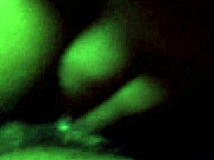My Step Daughter Experiments With Masturbation And Fingering
