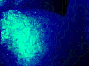 Dark And The Girl Wants War