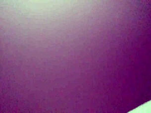 Me riding a white horse in the countryside