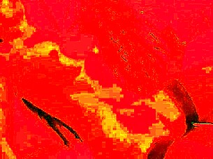 Laura angel fucks with twin peaks music, it's awsome anal blowjob.