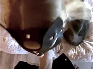 blonde with small tits sucked big dick eagerly