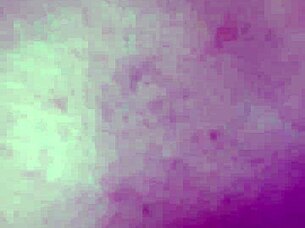 An amateur couple having sex