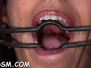 hotty says, 'give me bizarre pleasures with blowjob and toys'