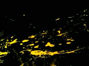 bound asian teen boys giving blowjobs