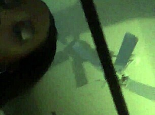 Video File Featuring Huge Tits and Ass.