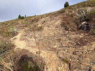 Latina Amateurs Masturbate And Have Passionate Outdoor Lesbian Sex