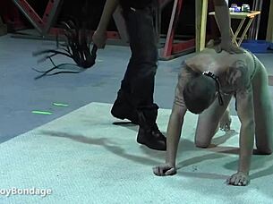 mikeal explores skinny sub chad