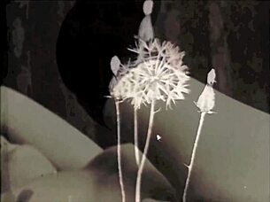 다크 랜턴: 모자 쓴 여자들, 시크릿 라이프 컨페션