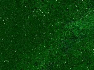 i peed in my jeans and got a golden shower on my face n mouth