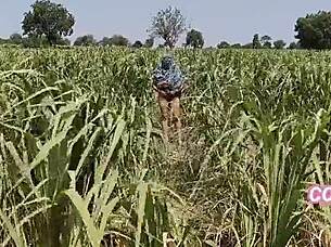 i'm diving into her muff with my monster cock