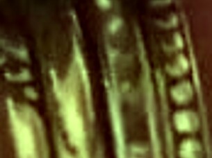 Mature White Woman Sucks Small Black Cock Eagerly