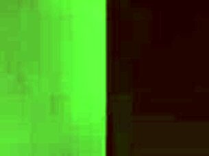 why are stepsisters tina and marica chanelle in this private video?