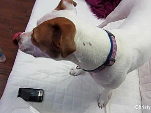 Christy Mack and Nick Manning behind the scenes fucking