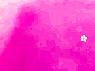 Husband and wife enjoy intimate webcam session together 😍