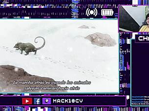 JoJo's Bizarre Adventure animation part 4 chapters 15