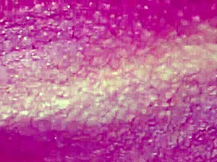 Beautiful Babe's Wet Juicy Pussy Orgasms In Group Orgy