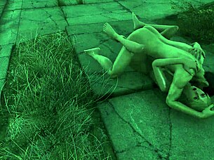 Fallout 4 sanctuary by night