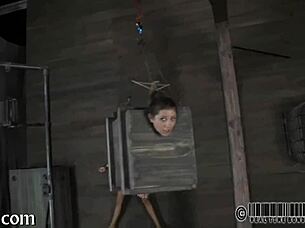 Intense bdsm session with a slave in a collar, bound and dominated.