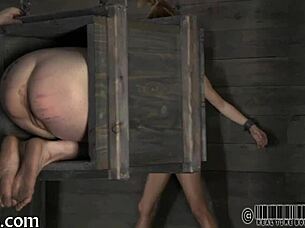 Intense bdsm session with a slave in a collar, bound and dominated.