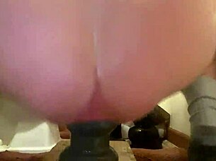 Easttnguy22 rides ass with buttplug in anime hentai