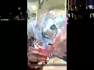 Ebony Chick Sucks White Dick Sloppily!