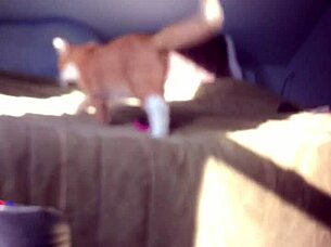 Watch This Hidden Masturbation Scene